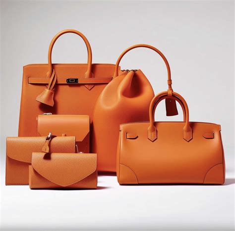 produits hermes porté par des mannequins|Pourquoi les sacs Hermès ont attiré toute l'attention sur le défilé .